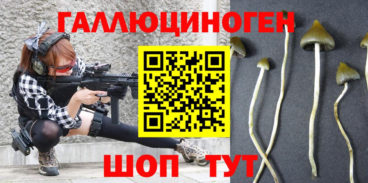 Псилоцибиновые грибы мухоморы  дарнет шоп  Вязники  Вход с VPN 